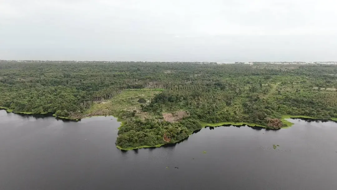 Terrain 500 m² en bordure de lagune avec titre foncier — Jacqueville Adjué