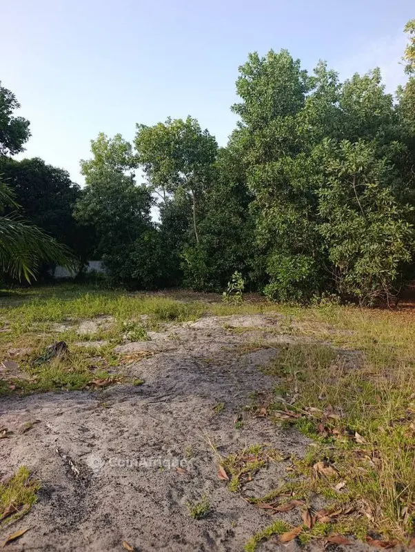 Terrain 2 hectares avec accès eau et électricité — Assoindé