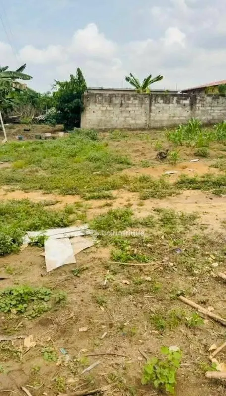 Terrain 400 m² plat — Bingerville M'moket