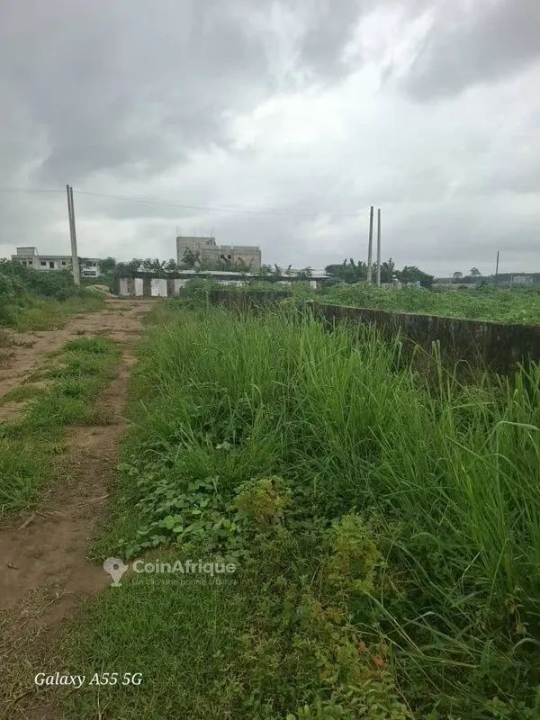 Terrain 400 m² — Bingerville
