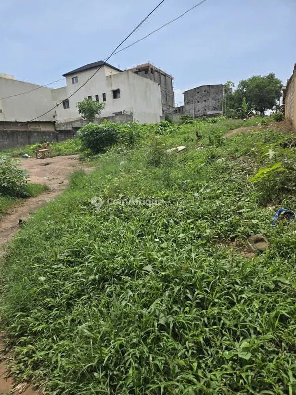 Terrain 686 m² clôturé — Cocody Angré