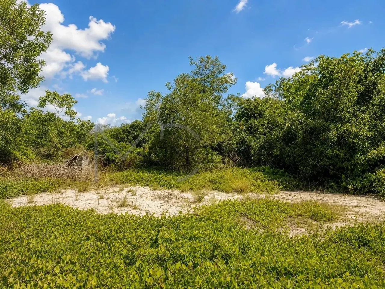 Terrain constructible 600 m² — Assinie Mafia