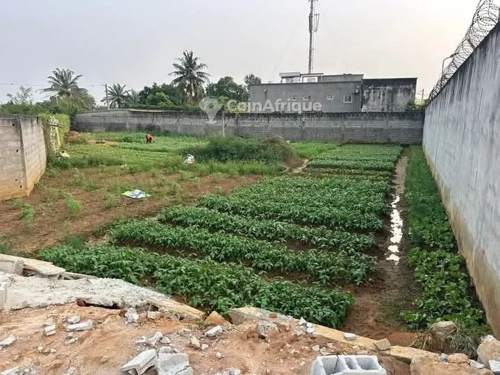 Terrain 920 m² avec ACD — Cocody Riviera M'Badon