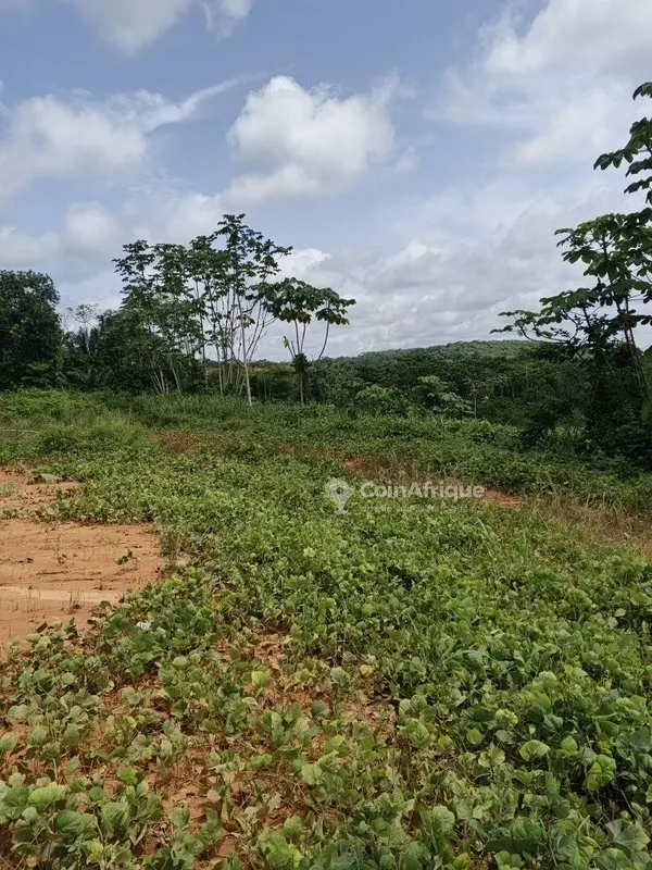 Parcelle 2 ha zone industrielle — Yopougon