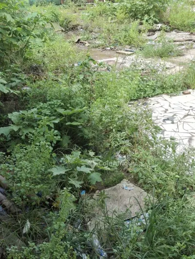 Terrain 600m² bien placé — Angré Nouveau CHU