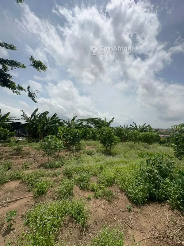 Terrain 4 500 m² avec ACD — Bingerville Feh Kessé